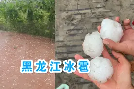 黑龙江突降鸡蛋大小冰雹：积水路面溅起水花，车玻璃砸出窟窿视频封面