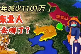 东北人都去哪了？10年减少1101万人口，到底是什么原因？视频封面