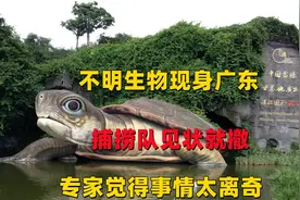 广东湖内惊现不明生物，捕捞队见状就撤！专家觉得：事情太离奇！视频封面
