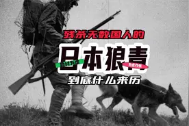 残害无数国人 | 恨之入骨的日本狼犬 | 到底什么来历？视频封面