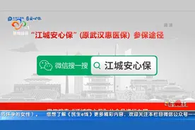 保险产品种类多，99元的“江城安心保”是否值得买？视频封面