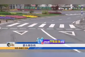 宏琪：地下倒三角是什么标志  司机：可以往这个方向通行视频封面