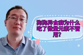 狗狗啃墙皮、吃土怎么办？补充微量元素的同时，还应该做好这3点