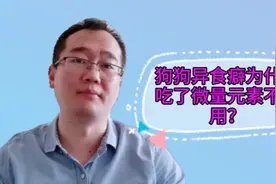 狗狗啃墙皮、吃土怎么办？补充微量元素的同时，还应该做好这3点视频封面