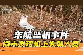 东航坠机事件 | 发现MU5735残骸和碎片 目前尚未发现机上失联人员视频封面