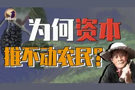 【伯爵】《大明王朝》改稻为桑为何失败？探析古代农民经济伦理视频封面