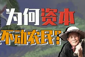 【伯爵】《大明王朝》改稻为桑为何失败？探析古代农民经济伦理视频封面