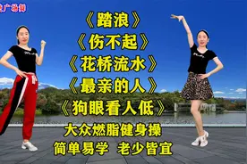 DJ《踏浪》《伤不起》《花桥流水》《最亲的人》《狗眼看人低》视频封面