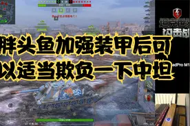 【毛毛WOTB】胖头鱼加强装甲后可以适当欺负一下中坦视频封面