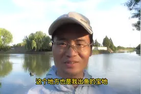 黄埔江上游的垂钓宝地，鲫鱼个体大，颜值也高视频封面