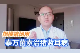 秋冬季大猪场经常发生咳嗽喘气，泰万菌素那么贵，为什么还用它