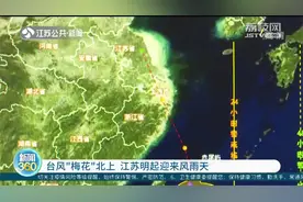 台风“梅花”北上，江苏迎来风雨天视频封面