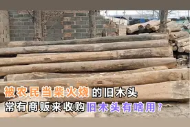 被农民当柴火烧的旧木头，常有商贩来收购，旧木头有啥用？视频封面