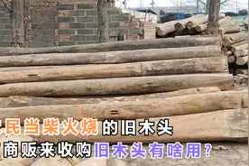 被农民当柴火烧的旧木头，常有商贩来收购，旧木头有啥用？视频封面