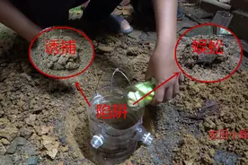 诱捕蜈蚣方法，蚯蚓、西瓜皮等，会有大量的蜈蚣跑来觅食？视频封面