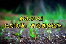胆小勿入！民间故事：有灵性的植物视频封面