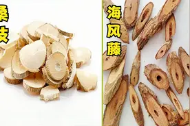 2021执业药师资格考试-中药学专业知识二-桑枝、海风藤主治功效视频封面
