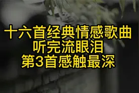 十六首经典情感歌曲，听完流眼泪，第三首感触最深！