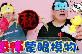 恐怖蒙眼摸物挑战，奇奇刚把手伸进去瞬间被夹住，差点吓哭了视频封面