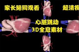 3D全息投影素材观察心脏跳动，父母一定要陪同未来的科学家观看哦视频封面