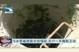污水管破损致农田塌陷 农户一年颗粒无收