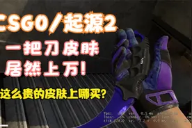 csgo/cs2  饰品/皮肤上哪买？饰品交易平台推荐！