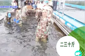 去看更大的世界之南湾湖里去抓鱼，挺刺激挺好玩，大的20多斤视频封面