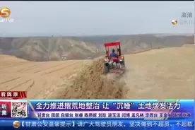 甘肃：全力推进撂荒地整治  让“沉睡”土地焕发活力视频封面