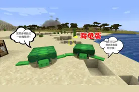 我的世界生存日记72：剪海草喂海龟，你们得生个大胖龟让我带回家