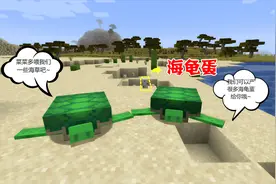 我的世界生存日记72：剪海草喂海龟，你们得生个大胖龟让我带回家