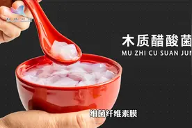 老醋缸里长出的“肥肉”是啥？能吃吗？视频封面