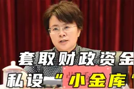 60后女正厅张秀兰被公诉，一年前主动投案，后又因环保问题被追责视频封面