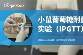 【短视频大赛】小鼠葡萄糖耐量实验（IPGTT）视频封面
