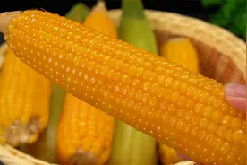 煮玉米时不要直接下锅煮，多加这几步，玉米香甜软糯，营养全保留视频封面