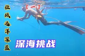 征战远洋深蓝之海荒岛潜捕，启用赶海新计划解锁新鱼类，大丰收！视频封面
