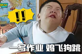 辅导作业迷惑现场，一写作业，鸡飞狗跳视频封面