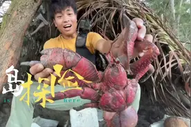 您吃过世界上最大的螃蟹吗？视频封面