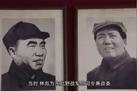 林彪为何被叫“101”？