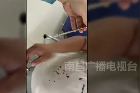 男子用鱼镖射鱼 鱼没射中反扎入手掌……视频封面