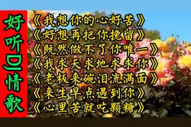 【2022爆火伤感DJ情歌】首首动听，歌词写的太走心了，百听不厌！