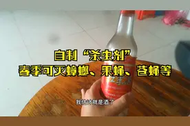 花盆种菜苍蝇、果蝇太多？教你自制杀虫药，省钱又好用视频封面