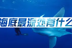 10000米深的马里亚纳海沟，最底部到底藏着什么？看完太涨知识了视频封面