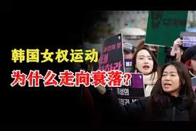 魔法打败魔法：韩国女权运动为什么走向衰落？视频封面