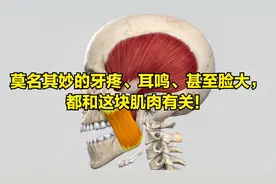 莫名其妙的牙痛？莫名其妙的耳鸣？甚至脸太大都和这块肌肉有关！视频封面