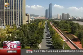 兰州市庆祝中国共产党成立100周年城关区专场新闻发布会举行视频封面