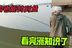 半小时钓三条大鲤鱼，空钩钓鱼到底存不存在？近距离了解空钩逗钓