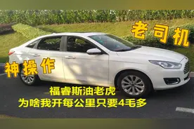 有人把福睿斯油耗开到10个油，我查了下数据，平均下来不到四毛三视频封面