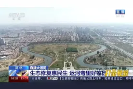 清洁水体、整修古河道、建观光走廊，沧州打造大运河旅游新名片视频封面