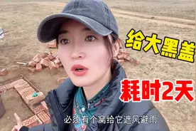 蒙古獒“大黑”看家护院14年，牧牧为它盖个小砖房，从此享受狗生视频封面