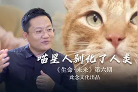 人类为什么喜欢养宠物，尤其是养猫？尹烨：亲生命性
